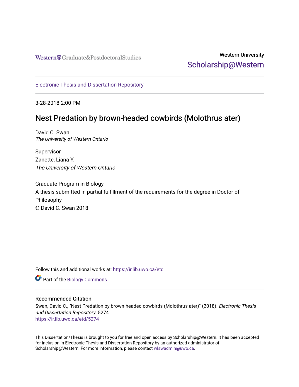 Nest Predation by Brown-Headed Cowbirds (Molothrus Ater)