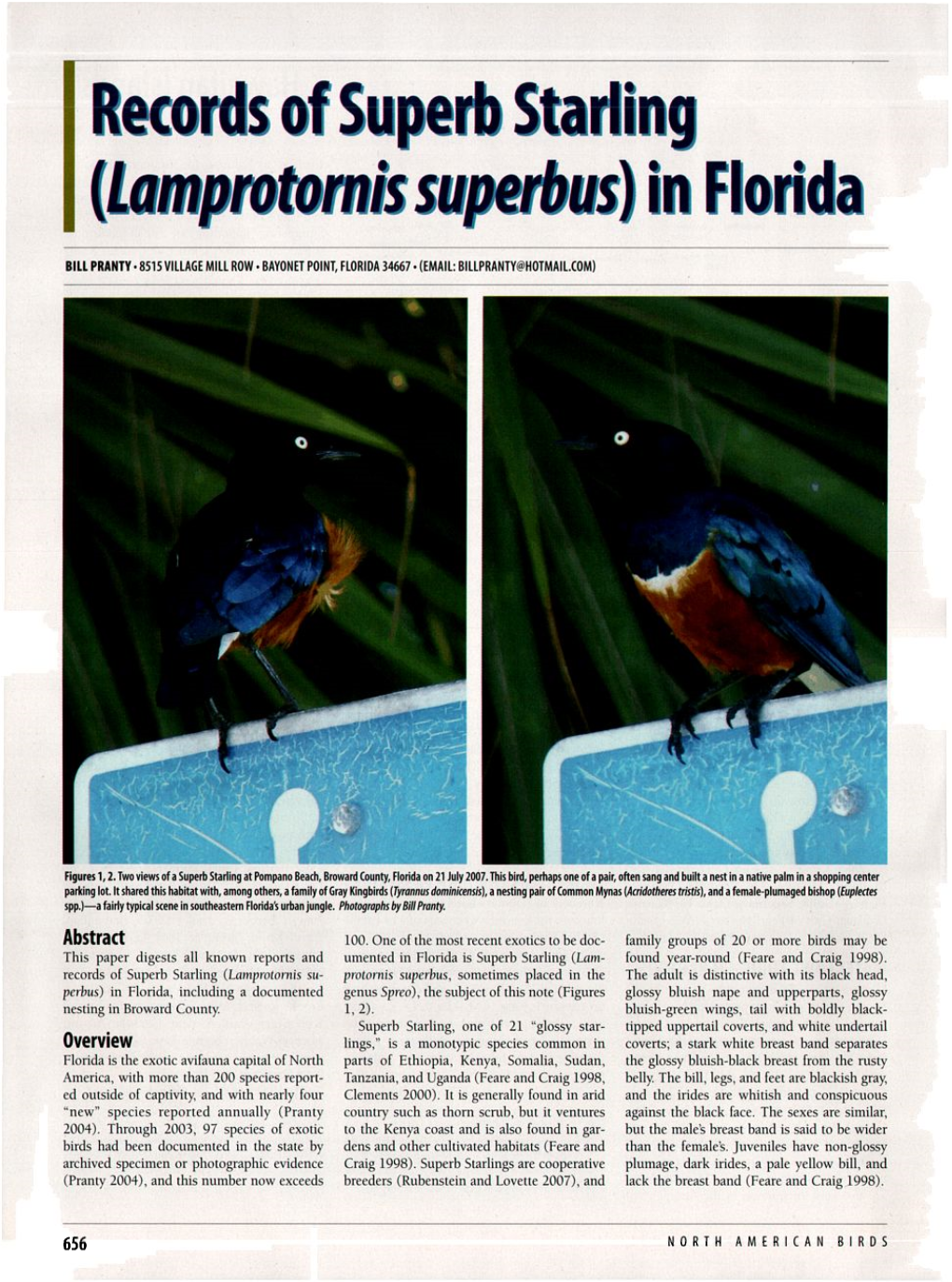 Records of Superb Starling (<I>Lamprotornis Superbus</I>) in Florida