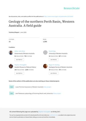 Geology of the Northern Perth Basin, Western Australia