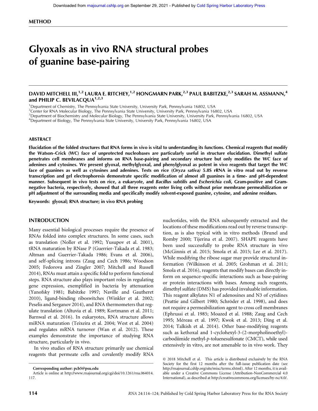 Glyoxals As in Vivo RNA Structural Probes of Guanine Base-Pairing