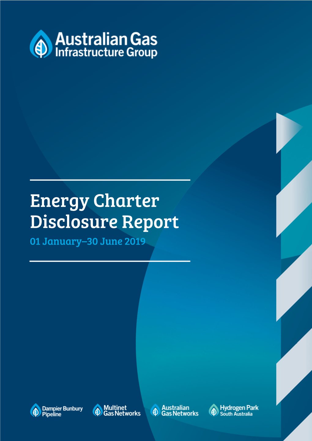 Energy Charter Disclosure Report 01 January–30 June 2019