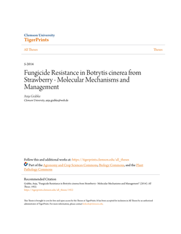 Fungicide Resistance in Botrytis Cinerea from Strawberry - Molecular Mechanisms and Management Anja Grabke Clemson University, Anja.Grabke@Web.De