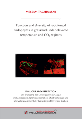 Function and Diversity of Root Fungal Endophytes in Grassland Under Elevated