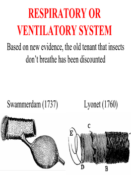 RESPIRATORY OR VENTILATORY SYSTEM Based on New Evidence, the Old Tenant That Insects Don’T Breathe Has Been Discounted