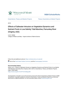 Effects of Saltwater Intrusion on Vegetation Dynamics and Nutrient Pools in Low-Salinity Tidal Marshes, Pamunkey River (Virginia, USA)