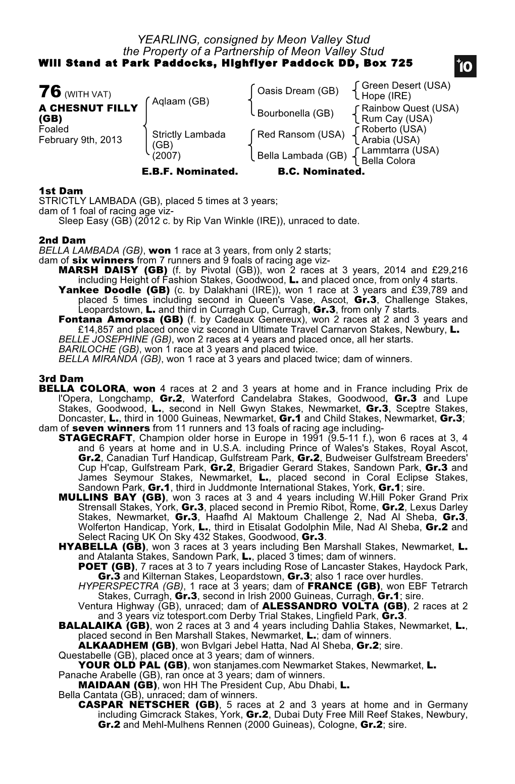 YEARLING, Consigned by Meon Valley Stud the Property of a Partnership of Meon Valley Stud Will Stand at Park Paddocks, Highflyer Paddock DD, Box 725