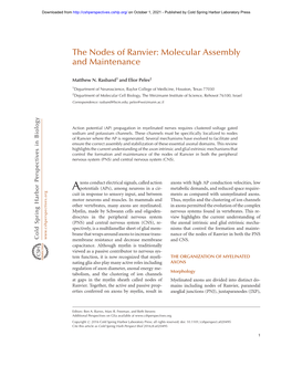 The Nodes of Ranvier: Molecular Assembly and Maintenance