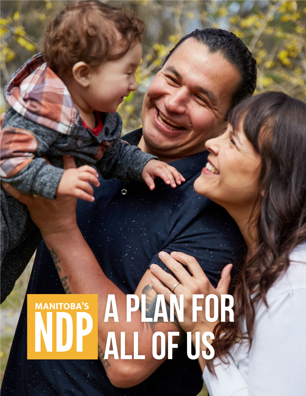 NDP Platform