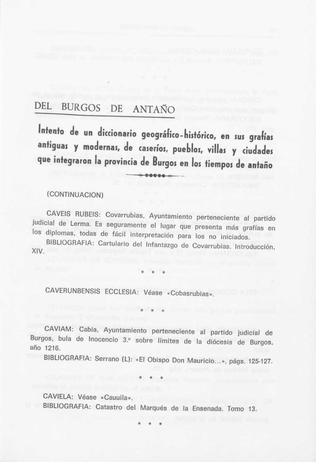 DEL BURGOS DE ANTAÑO Intento De Un Diccionario Geográfico-Histórico, En Sus Grafías Antiguas Y Modernas, De Caseríos, Puebl