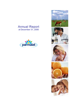 Annual Report at December 31, 2006