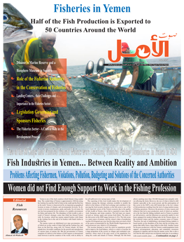 Fisheries in Yemen Half of the Fish Production Is Exported to 50 Countries Around the World