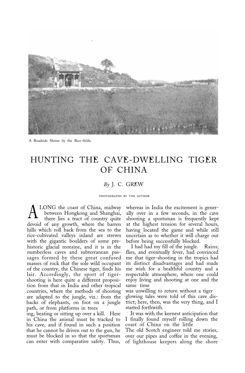 Hunting the Cave Dwelling Tiger of China