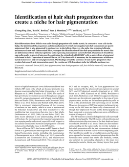 Identification of Hair Shaft Progenitors That Create a Niche for Hair Pigmentation