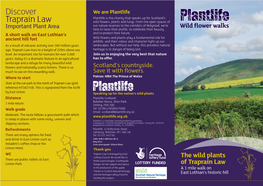 Discover Discover We Are Plantlife Are We