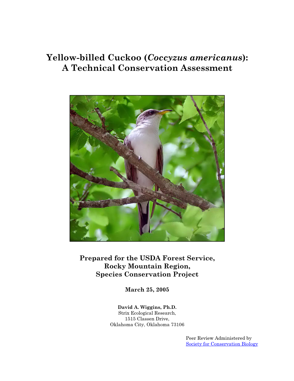 Yellow-Billed Cuckoo (Coccyzus Americanus): a Technical Conservation Assessment