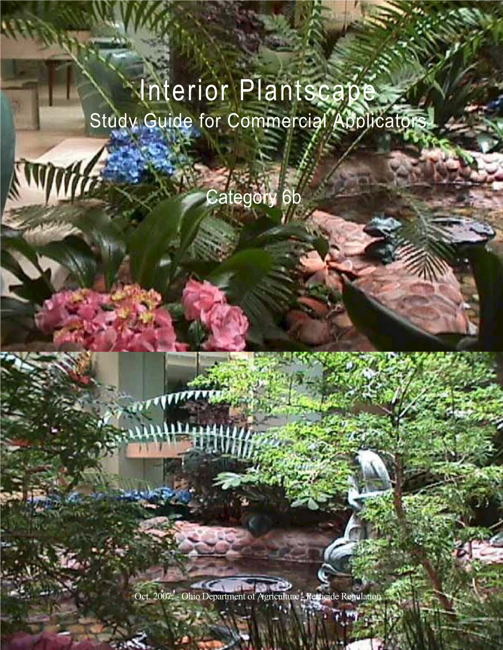 6B Interior Plantscape Study Guide