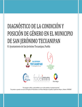 Diagnóstico De La Condición Y Posición De Género En El Municipio De San Jerónimo Tecuanipan H