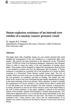 Steam Explosion Resistance of an Internal Core Catcher of a Nuclear Reactor Pressure Vessel