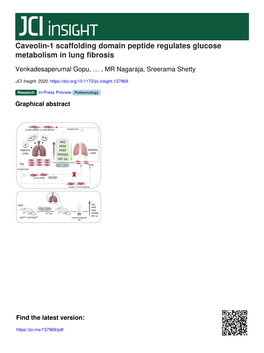 Caveolin-1 Scaffolding Domain Peptide Regulates Glucose Metabolism in Lung Fibrosis