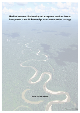 The Link Between Biodiversity and Ecosystem Services: How to Incorporate Scientific Knowledge Into a Conservation Strategy