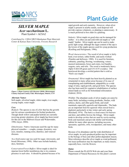 Plant Guide for Silver Maple (Acer Saccharinum L.)