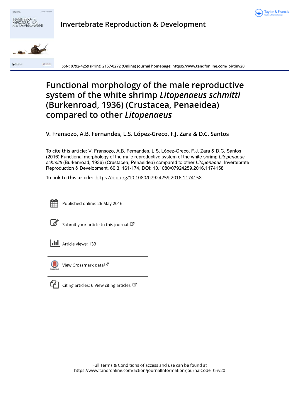 Functional Morphology of the Male Reproductive System of the White Shrimp Litopenaeus Schmitti (Burkenroad, 1936) (Crustacea, Penaeidea) Compared to Other Litopenaeus