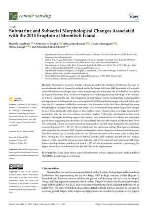Submarine and Subaerial Morphological Changes Associated with the 2014 Eruption at Stromboli Island