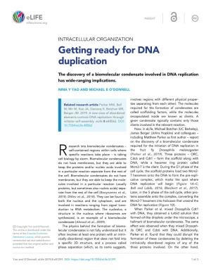 Getting Ready for DNA Duplication