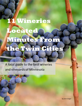 11 Wineries Located Minutes from the Twin Cities