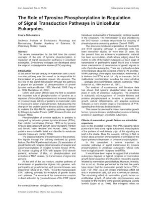 The Role of Tyrosine Phosphorylation in Regulation of Signal Transduction Pathways in Unicellular Eukaryotes