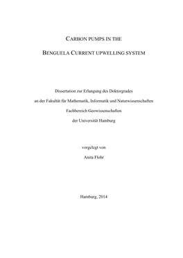 Carbon Pumps in the Benguela Current Upwelling System