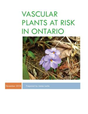 Vascular Plants at Risk in Ontario.Pdf