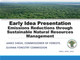 Early Idea Presentation Emissions Reductions Through Sustainable Natural Resources Management