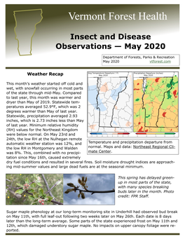 Insect and Disease Observations — May 2020
