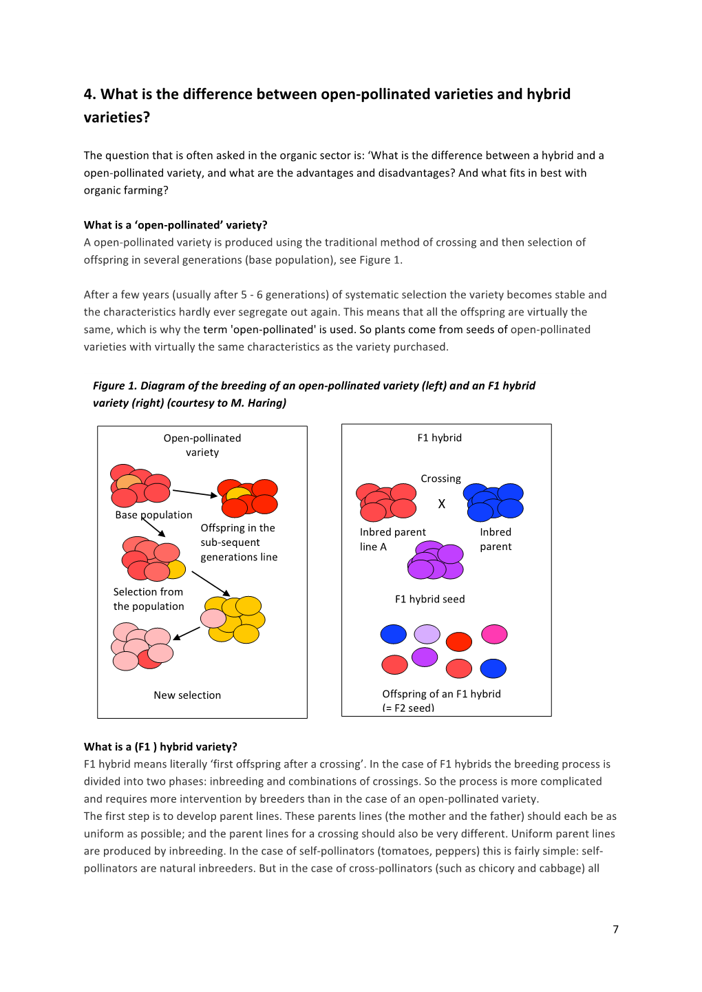 4. What Is The Difference Between Open-Pollinated Varieties And Hybrid ...