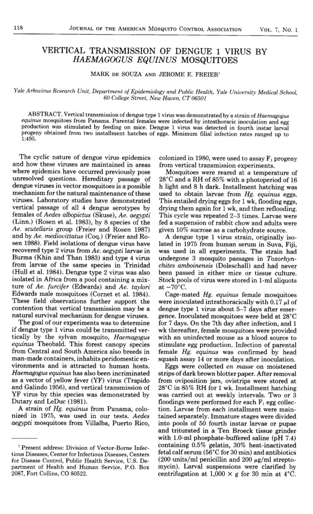 Vertical Transmission of Dengue 1 Virus By