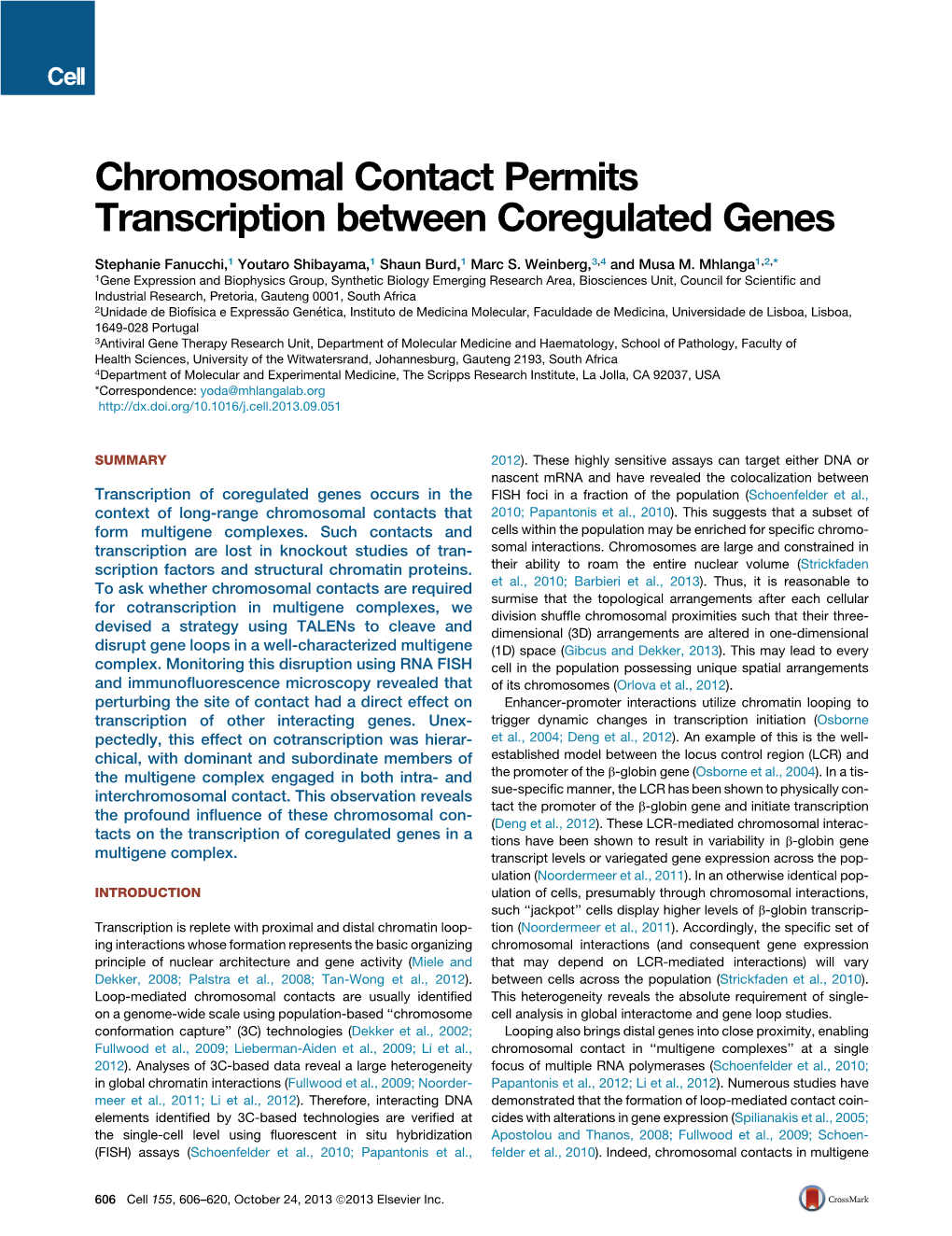 Chromosomal Contact Permits Transcription Between Coregulated Genes