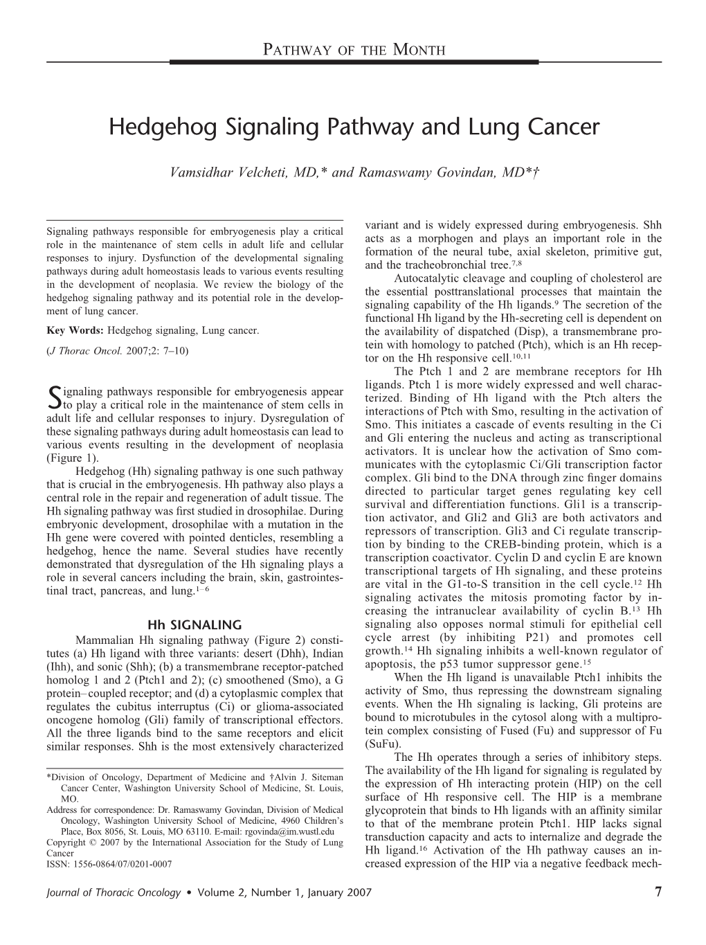 Hedgehog Signaling Pathway and Lung Cancer