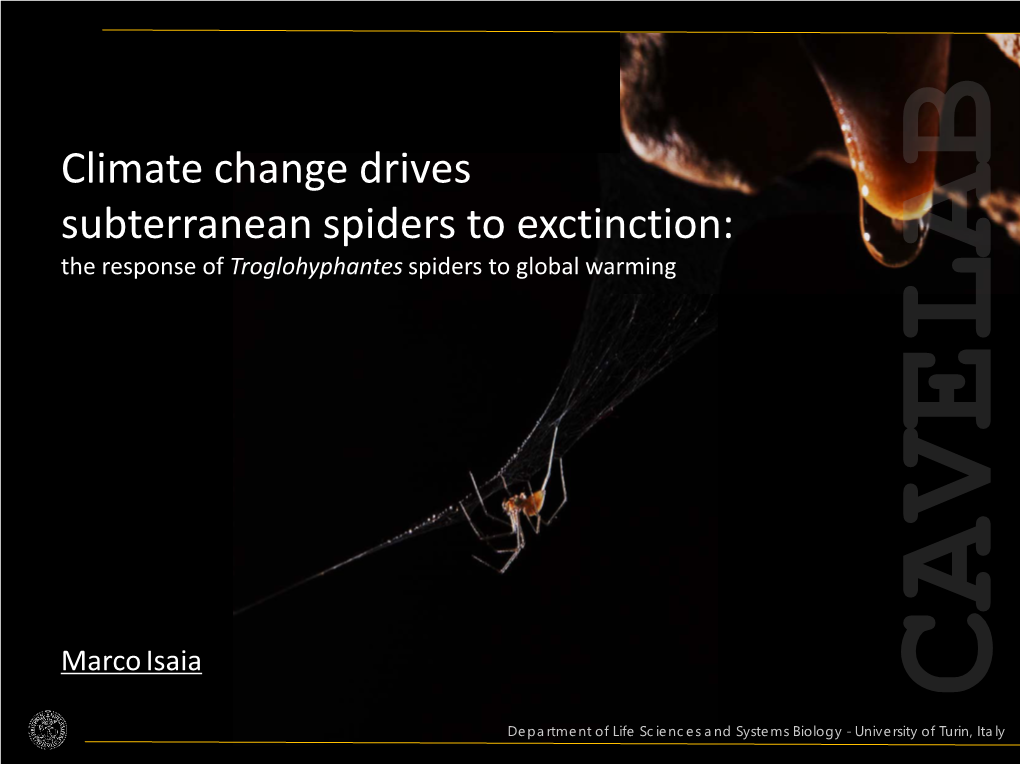 Climate Change Drives Subterranean Spiders to Exctinction: the Response of Troglohyphantes Spiders to Global Warming