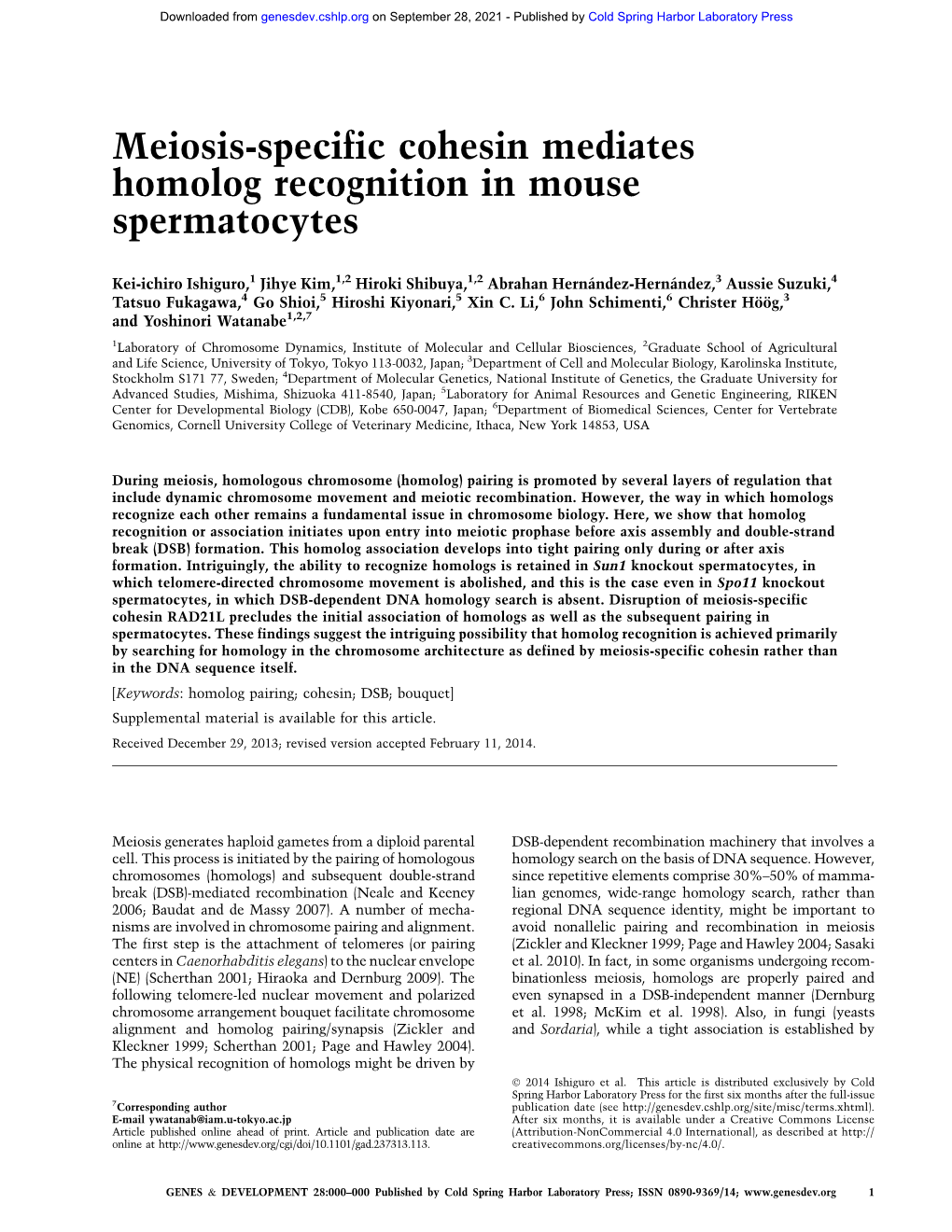 Meiosis-Specific Cohesin Mediates Homolog Recognition in Mouse Spermatocytes