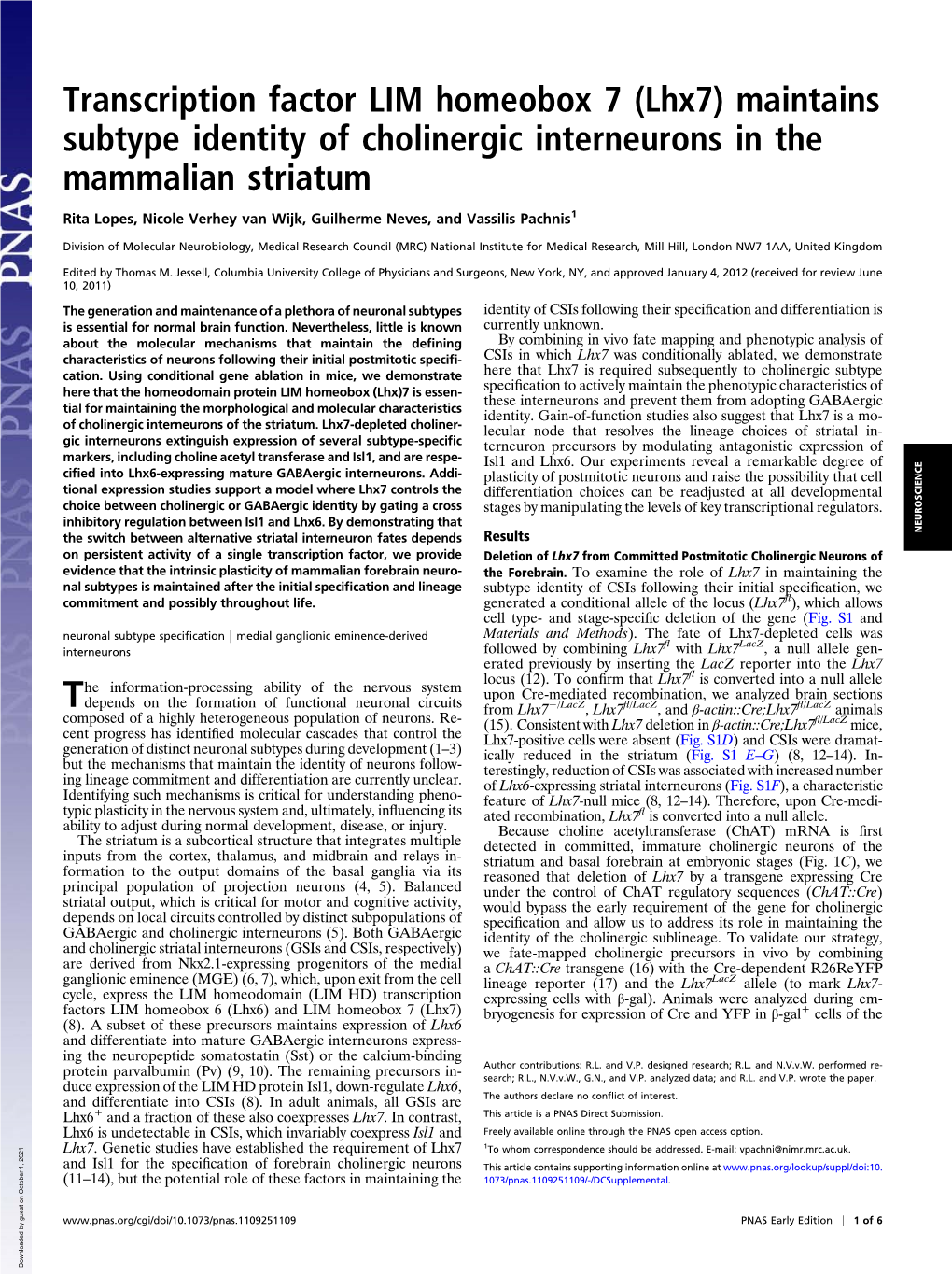 (Lhx7) Maintains Subtype Identity of Cholinergic Interneurons in the Mammalian Striatum