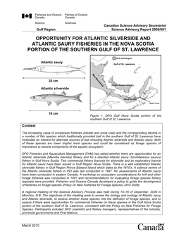 Opportunity for Atlantic Silverside and Atlantic Saury Fisheries in the Nova Scotia Portion of the Southern Gulf of St