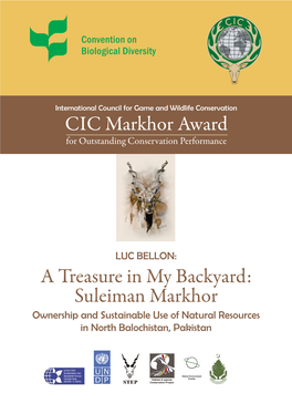 CIC Markhor Award a Treasure in My