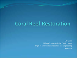 Coral Reef Restoration