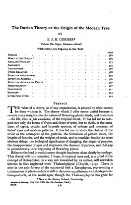 The Durian Theory Or the Origin of the Modern Tree by E