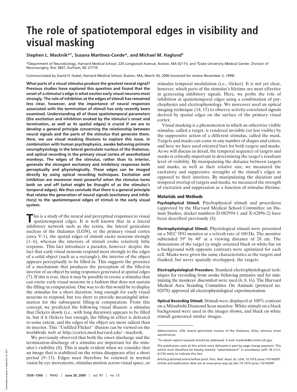 The Role of Spatiotemporal Edges in Visibility and Visual Masking