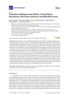 Potential Antidepressant Effects of Scutellaria Baicalensis, Hericium