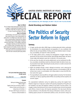 The Politics of Security Sector Reform in Egypt