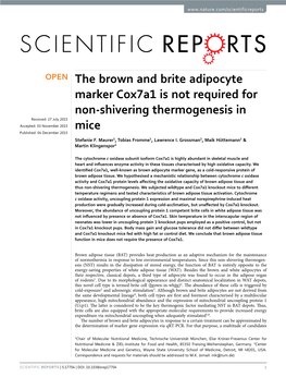 The Brown and Brite Adipocyte Marker Cox7a1 Is Not Required for Non