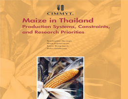 Maize in Thailand